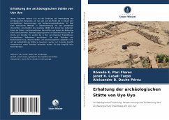 Erhaltung der archäologischen Stätte von Uyo Uyo - Pari Flores, Rómulo E.;Casali Turpo, Janet R.;Duche Pérez, Aleixandre B.