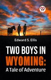 Two Boys In Wyoming: A Tale Of Adventure