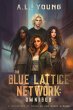 The Blue Lattice Network - Bild 1
