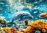 Sealife - verborgene Tiefen - 2025 -... - Bild 1