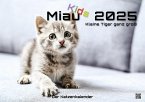 Miau Kids - kleine Tiger ganz groß - Der Katzenkalender - 2025 - Kalender DIN A2