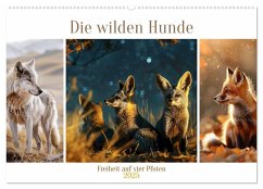 Die wilden Hunde (Wandkalender 2025 DIN A2 quer), CALVENDO Monatskalender