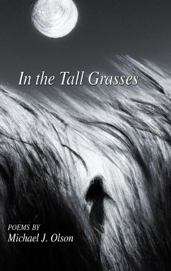 In the Tall Grasses - Olson, Michael J.
