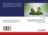 Renewable Energy Sources - Bild 1
