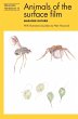 Animals of the surface film - Bild 1