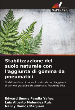 Stabilizzazione del suolo naturale con l'aggiunta di gomma da pneumatici - Pandia Yañez, Edward Jimmy;Melendez Ruiz, Luis Alberto;Maquera, Nancy Ramos