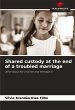 Shared custody at the end of a troubled... - Bild 1