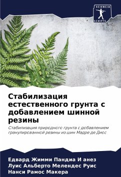 Stabilizaciq estestwennogo grunta s dobawleniem shinnoj reziny - Pandia I anez, Edward Zhimmi;Melendes Ruis, Luis Al'berto;Makera, Nansi Ramos