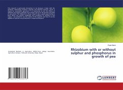 Rhizobium with or without sulphur and phosphorus in growth of pea