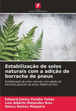 Estabilização de solos naturais com a adição de borracha de pneus - Pandia Yañez, Edward Jimmy;Melendez Ruiz, Luis Alberto;Maquera, Nancy Ramos