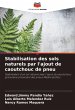 Stabilisation des sols naturels par... - Bild 1