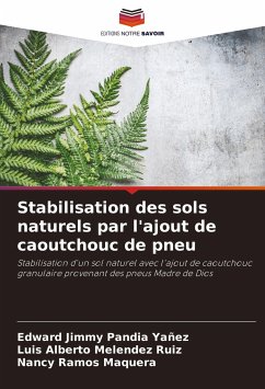 Stabilisation des sols naturels par l'ajout de caoutchouc de pneu - Pandia Yañez, Edward Jimmy;Melendez Ruiz, Luis Alberto;Maquera, Nancy Ramos