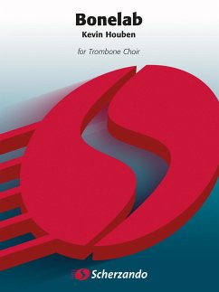 Cover Bonelab