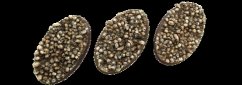 Cover Skulls Bases, Oval 75mm (2)