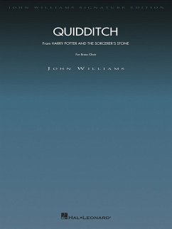 Quidditch (HARRY POTTER AND THE SORCERER'S STONE)