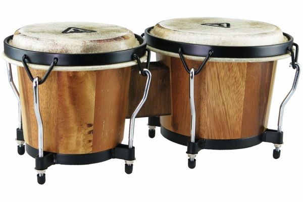 Tycoon: Ritmo Bongos - Jamjuree