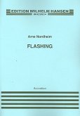 Flashing für Akkordeon Flashing für Akkordeon