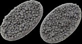 Skulls Bases, Oval 90mm (2)