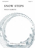 Snow Steps
