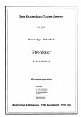 Egger, Hermann / Koch, Herbert Strohfeuer Akkordeonorchester Partitur