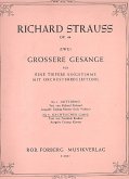 Nächtlicher Gang für tiefere Singstimme und Klavier Nächtlicher Gang für tiefere Singstimme und Klavier
