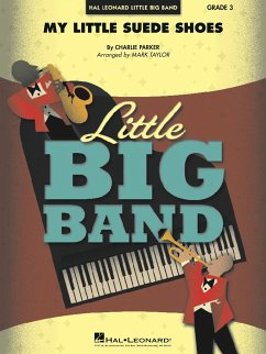 Cover My Little Suede Shoes