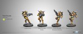 Tiger Soldiers (Spitfire/ Boarding Shotgun) Tiger Soldiers (Spitfire/ Boarding Shotgun)