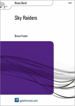Cover Sky Raiders