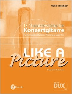 Cover Theisinger, W: Like A Picture