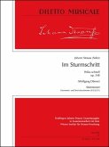 DM1062SET J.Strauß (Sohn), Im Strumschritt für großes Orchester Stimmensatz