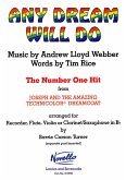 Any Dream will do: for recorder (flute, violin or clarinet/saxophone in bb) and piano