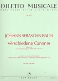 Verschiedene Canones BWV1087 für Flöte, Violine, Violoncello und Orgel/Cembalo Partitur und Stimmen