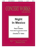 Night in Mexico