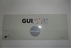 Guimaps Long Scale Pentatonic Gitarre Blatt