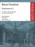 Divertimento In E Divertimento In E