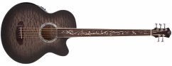 Michael Kelly: Dragonfly Fretless 5 Acous Bass Gtr