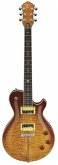 Michael Kelly: Patriot Instinct Electric Guitar