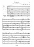 Sinfonie a-Moll für Orchester Partitur Sinfonie a-Moll für Orchester Partitur