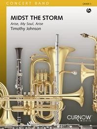 Midst the Storm