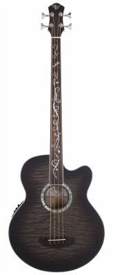 Michael Kelly: Dragonfly Fretless 4 Elec Acou Bass