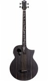 Dragonfly Forte Port Fretless Acoustic Bass Guitar