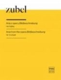 Aria From The Opera Bildbescheibung Aria From The Opera Bildbescheibung