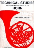 Technical Studies for solving special problems on the horn Technical Studies for solving special problems on the horn
