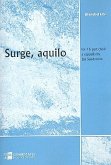 Surge aquilo for 16 part-chorus a cappella score Surge aquilo for 16 part-chorus a cappella score
