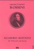 Allegro agitato für Violoncello und Klavier Allegro agitato für Violoncello und Klavier