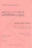 Sonate a-Moll BWV1020 für Violine und Gitarre Sonate a-Moll BWV1020 für Violine und Gitarre