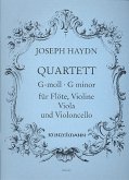 Quartett g-Moll nach op.20,5 für Flöte, Violine, Viola und Violoncello Stimmen