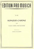 Konzert-Cadenz für tiefes Horn und Klavier