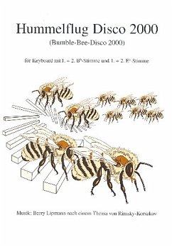 Cover Hummelflug Disco 2000 für E-Orgel