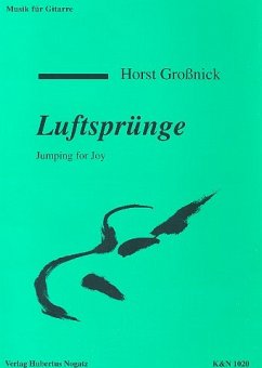 Cover Luftsprünge für Gitarre